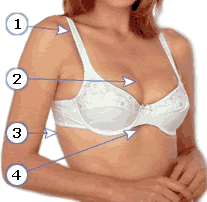 Most British women are still 'wearing the wrong-sized bra