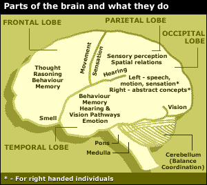 Brain Is Mush