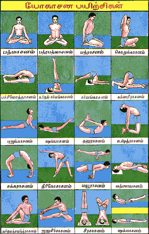 bikram yoga positions. Simple yoga positions